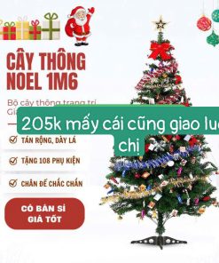 CAY THONG NOEN CAO 1M6